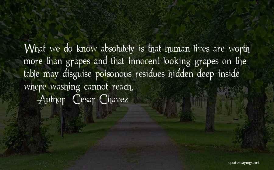 Cesar Chavez Quotes: What We Do Know Absolutely Is That Human Lives Are Worth More Than Grapes And That Innocent-looking Grapes On The