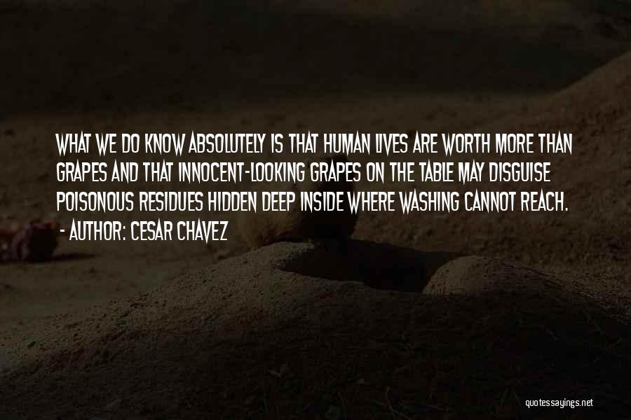 Cesar Chavez Quotes: What We Do Know Absolutely Is That Human Lives Are Worth More Than Grapes And That Innocent-looking Grapes On The