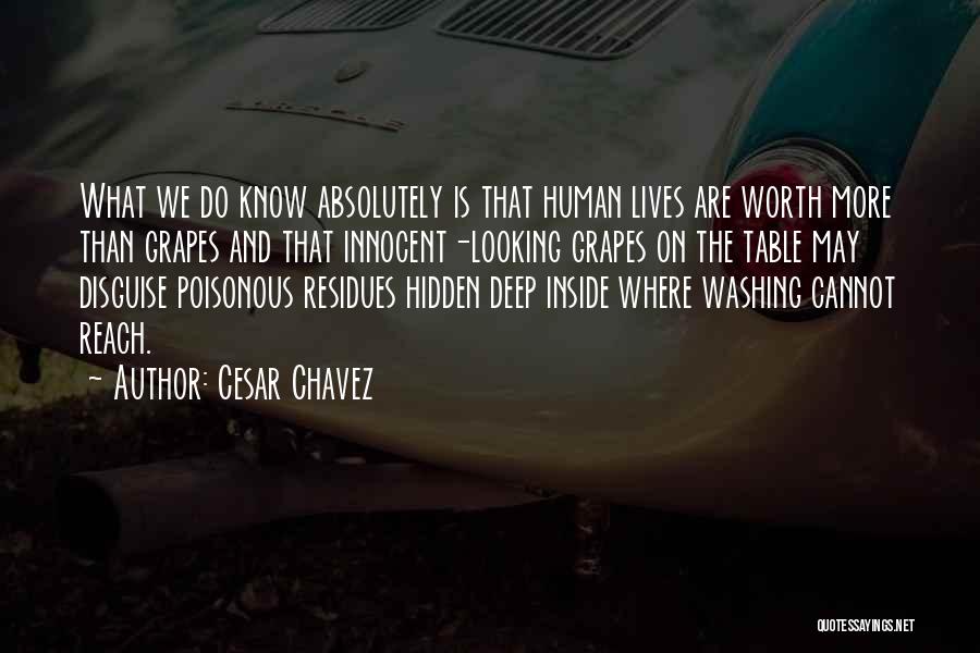 Cesar Chavez Quotes: What We Do Know Absolutely Is That Human Lives Are Worth More Than Grapes And That Innocent-looking Grapes On The