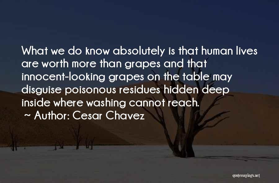 Cesar Chavez Quotes: What We Do Know Absolutely Is That Human Lives Are Worth More Than Grapes And That Innocent-looking Grapes On The