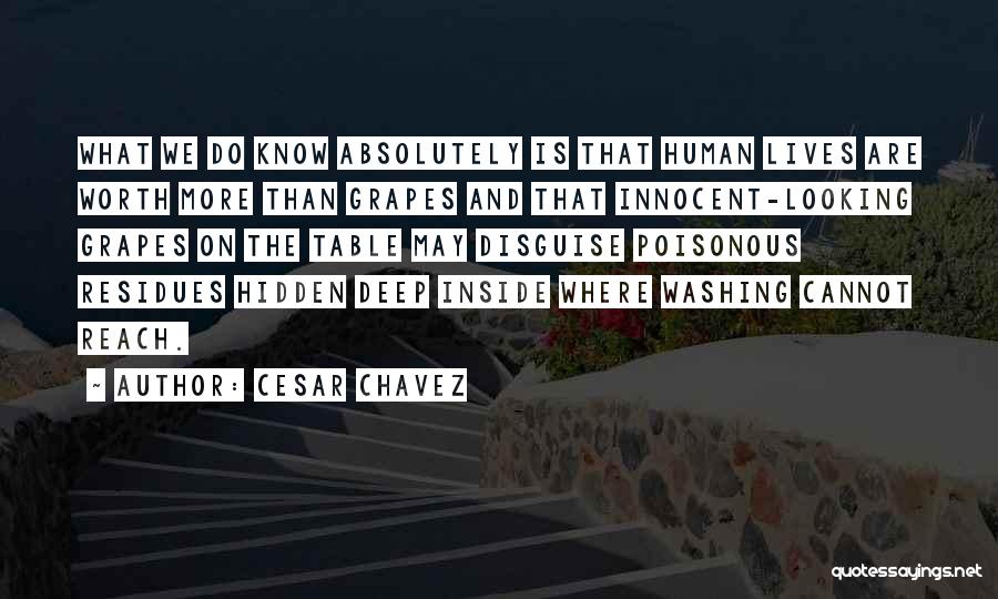 Cesar Chavez Quotes: What We Do Know Absolutely Is That Human Lives Are Worth More Than Grapes And That Innocent-looking Grapes On The