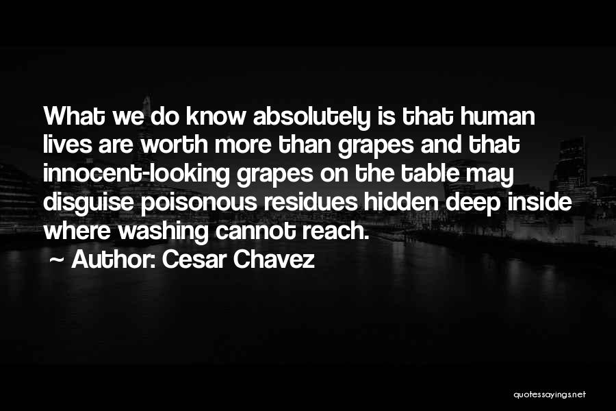 Cesar Chavez Quotes: What We Do Know Absolutely Is That Human Lives Are Worth More Than Grapes And That Innocent-looking Grapes On The