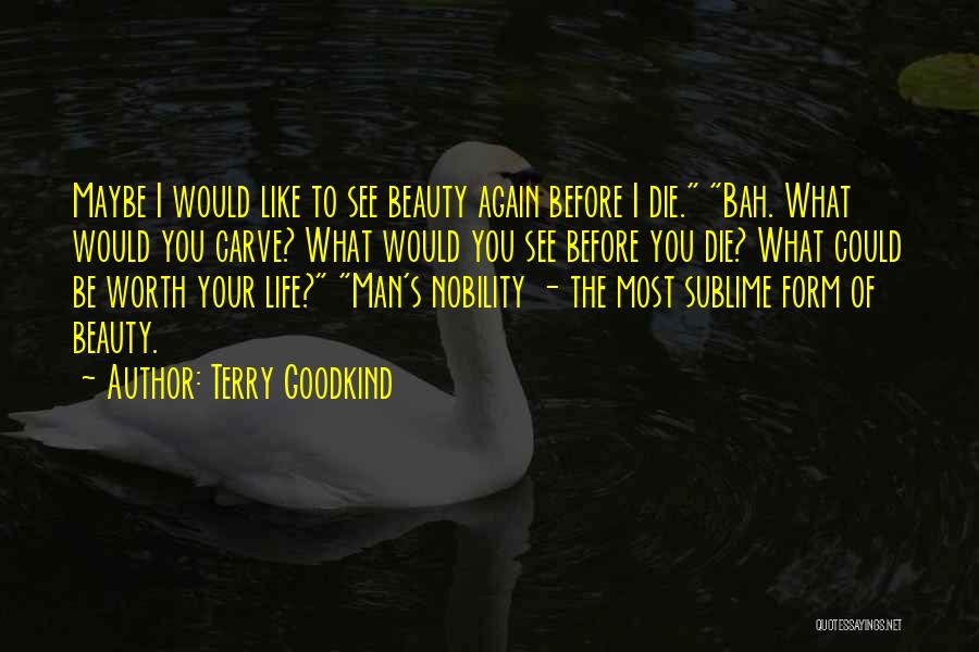 Terry Goodkind Quotes: Maybe I Would Like To See Beauty Again Before I Die. Bah. What Would You Carve? What Would You See