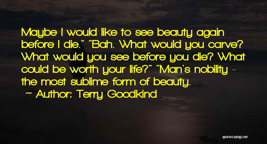 Terry Goodkind Quotes: Maybe I Would Like To See Beauty Again Before I Die. Bah. What Would You Carve? What Would You See