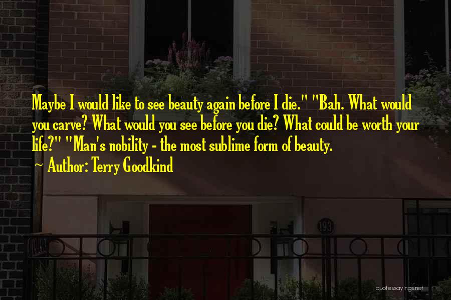 Terry Goodkind Quotes: Maybe I Would Like To See Beauty Again Before I Die. Bah. What Would You Carve? What Would You See