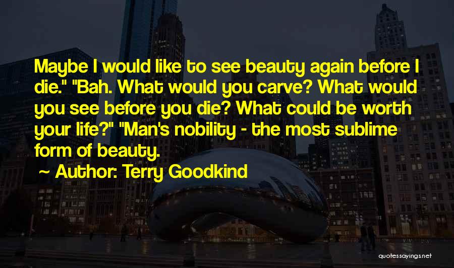 Terry Goodkind Quotes: Maybe I Would Like To See Beauty Again Before I Die. Bah. What Would You Carve? What Would You See