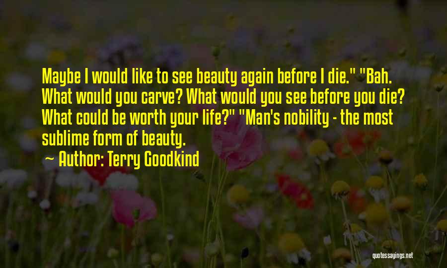 Terry Goodkind Quotes: Maybe I Would Like To See Beauty Again Before I Die. Bah. What Would You Carve? What Would You See