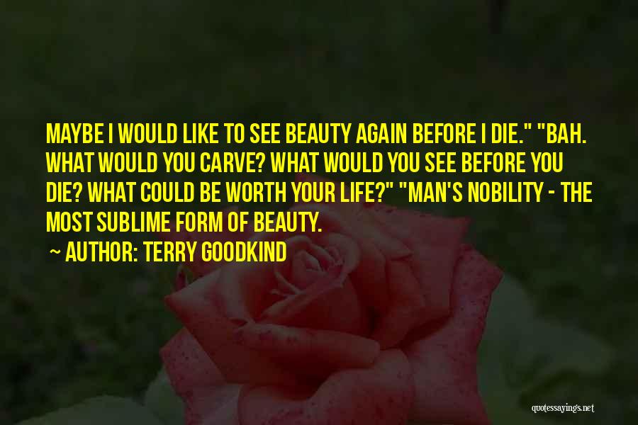 Terry Goodkind Quotes: Maybe I Would Like To See Beauty Again Before I Die. Bah. What Would You Carve? What Would You See