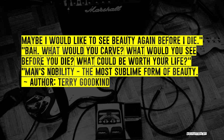 Terry Goodkind Quotes: Maybe I Would Like To See Beauty Again Before I Die. Bah. What Would You Carve? What Would You See