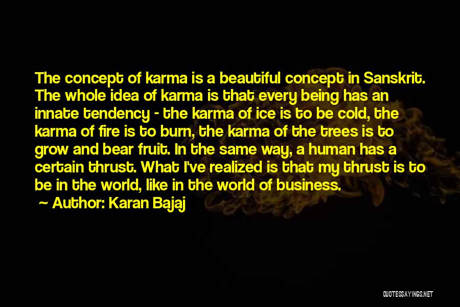 Karan Bajaj Quotes: The Concept Of Karma Is A Beautiful Concept In Sanskrit. The Whole Idea Of Karma Is That Every Being Has