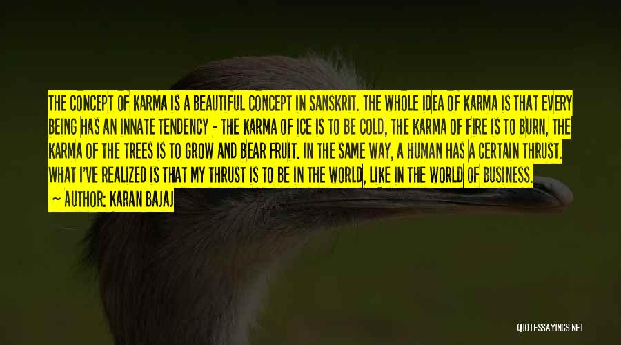 Karan Bajaj Quotes: The Concept Of Karma Is A Beautiful Concept In Sanskrit. The Whole Idea Of Karma Is That Every Being Has