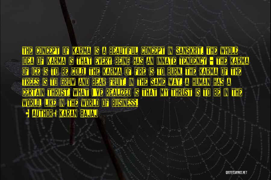 Karan Bajaj Quotes: The Concept Of Karma Is A Beautiful Concept In Sanskrit. The Whole Idea Of Karma Is That Every Being Has