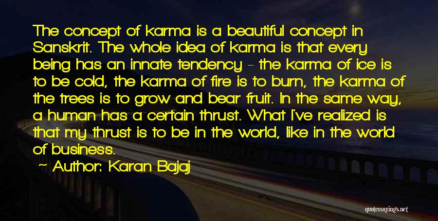 Karan Bajaj Quotes: The Concept Of Karma Is A Beautiful Concept In Sanskrit. The Whole Idea Of Karma Is That Every Being Has