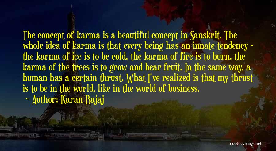 Karan Bajaj Quotes: The Concept Of Karma Is A Beautiful Concept In Sanskrit. The Whole Idea Of Karma Is That Every Being Has