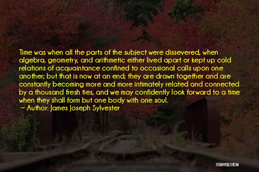 James Joseph Sylvester Quotes: Time Was When All The Parts Of The Subject Were Dissevered, When Algebra, Geometry, And Arithmetic Either Lived Apart Or