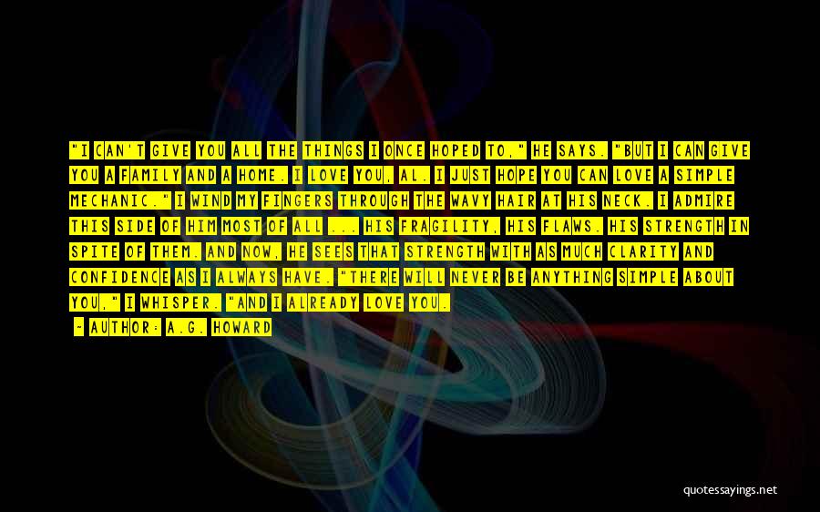 A.G. Howard Quotes: I Can't Give You All The Things I Once Hoped To, He Says. But I Can Give You A Family