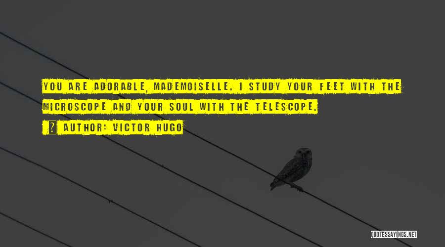 Victor Hugo Quotes: You Are Adorable, Mademoiselle. I Study Your Feet With The Microscope And Your Soul With The Telescope.