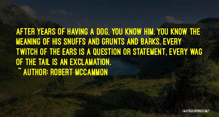 Robert McCammon Quotes: After Years Of Having A Dog, You Know Him. You Know The Meaning Of His Snuffs And Grunts And Barks.