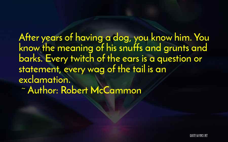 Robert McCammon Quotes: After Years Of Having A Dog, You Know Him. You Know The Meaning Of His Snuffs And Grunts And Barks.