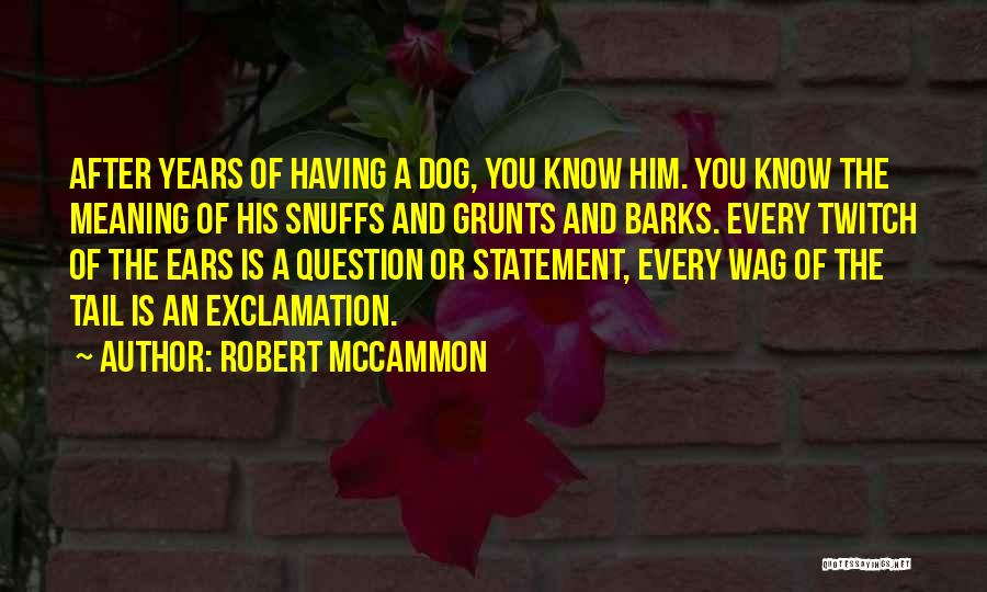 Robert McCammon Quotes: After Years Of Having A Dog, You Know Him. You Know The Meaning Of His Snuffs And Grunts And Barks.