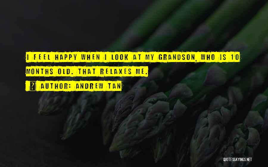 Andrew Tan Quotes: I Feel Happy When I Look At My Grandson, Who Is 10 Months Old. That Relaxes Me.