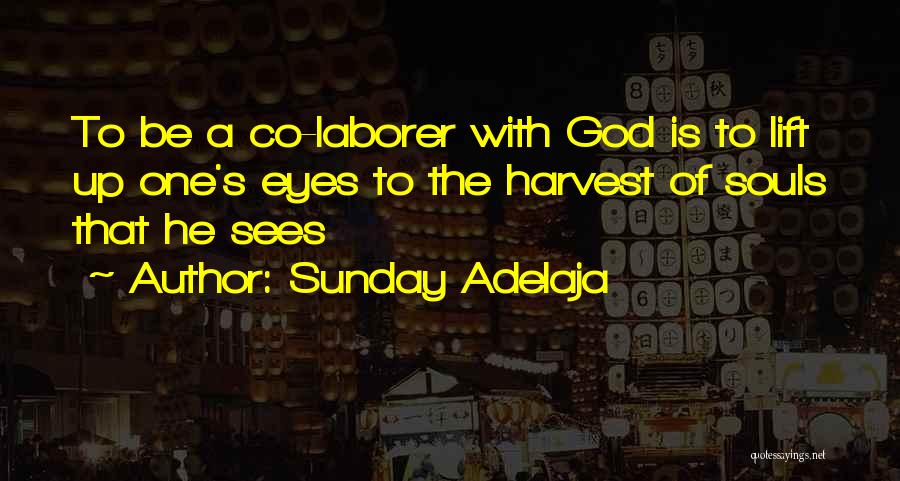 Sunday Adelaja Quotes: To Be A Co-laborer With God Is To Lift Up One's Eyes To The Harvest Of Souls That He Sees