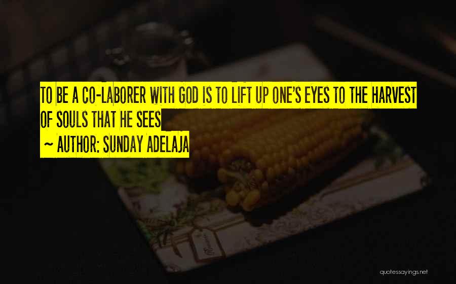 Sunday Adelaja Quotes: To Be A Co-laborer With God Is To Lift Up One's Eyes To The Harvest Of Souls That He Sees