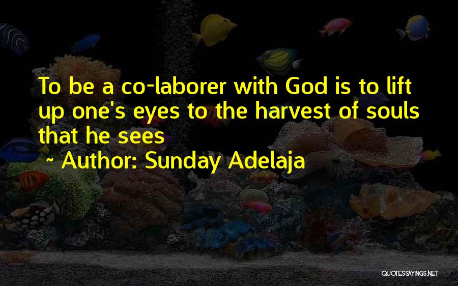 Sunday Adelaja Quotes: To Be A Co-laborer With God Is To Lift Up One's Eyes To The Harvest Of Souls That He Sees