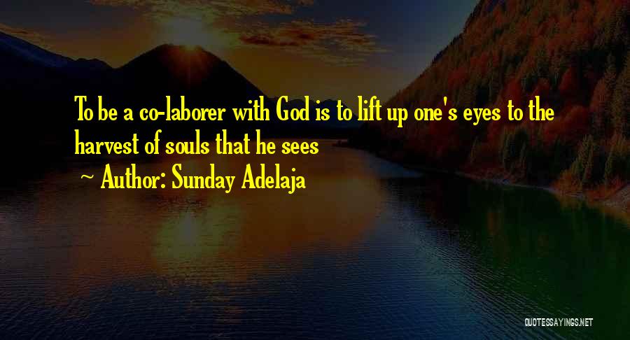 Sunday Adelaja Quotes: To Be A Co-laborer With God Is To Lift Up One's Eyes To The Harvest Of Souls That He Sees