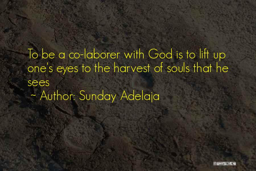 Sunday Adelaja Quotes: To Be A Co-laborer With God Is To Lift Up One's Eyes To The Harvest Of Souls That He Sees