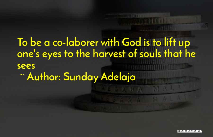 Sunday Adelaja Quotes: To Be A Co-laborer With God Is To Lift Up One's Eyes To The Harvest Of Souls That He Sees