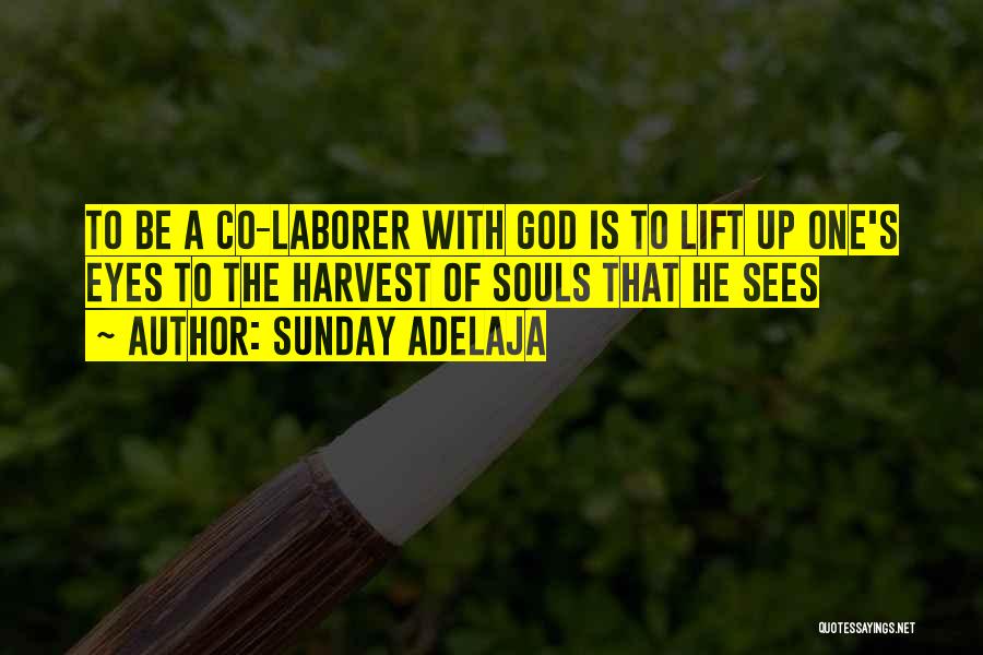 Sunday Adelaja Quotes: To Be A Co-laborer With God Is To Lift Up One's Eyes To The Harvest Of Souls That He Sees