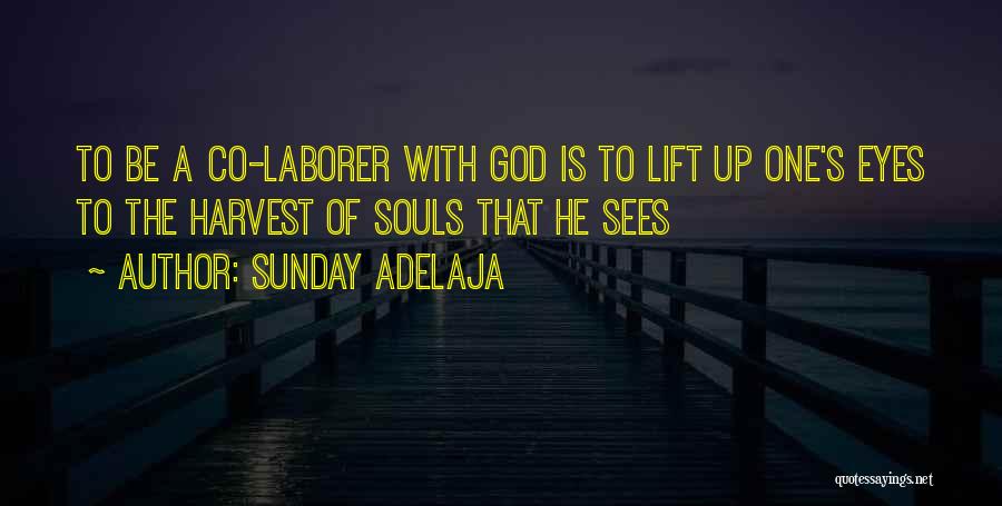 Sunday Adelaja Quotes: To Be A Co-laborer With God Is To Lift Up One's Eyes To The Harvest Of Souls That He Sees