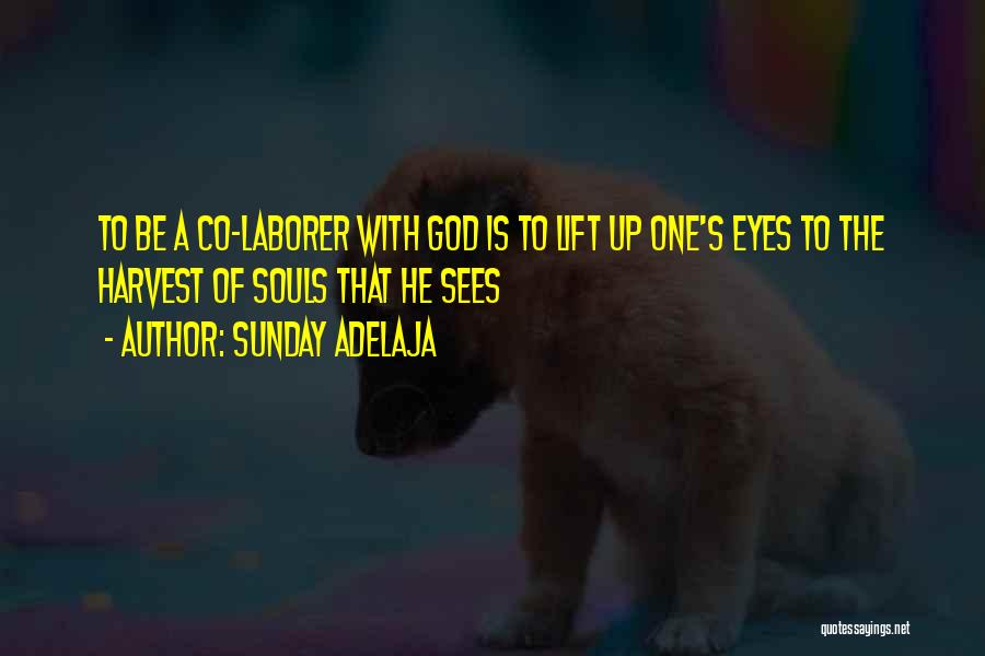 Sunday Adelaja Quotes: To Be A Co-laborer With God Is To Lift Up One's Eyes To The Harvest Of Souls That He Sees