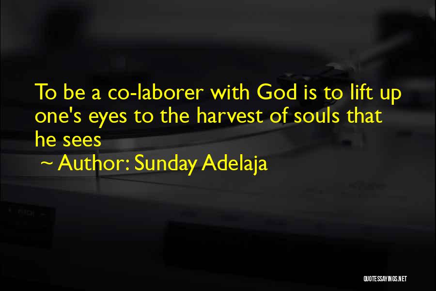 Sunday Adelaja Quotes: To Be A Co-laborer With God Is To Lift Up One's Eyes To The Harvest Of Souls That He Sees