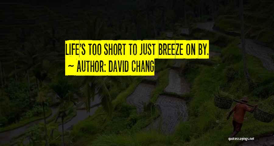 David Chang Quotes: Life's Too Short To Just Breeze On By.