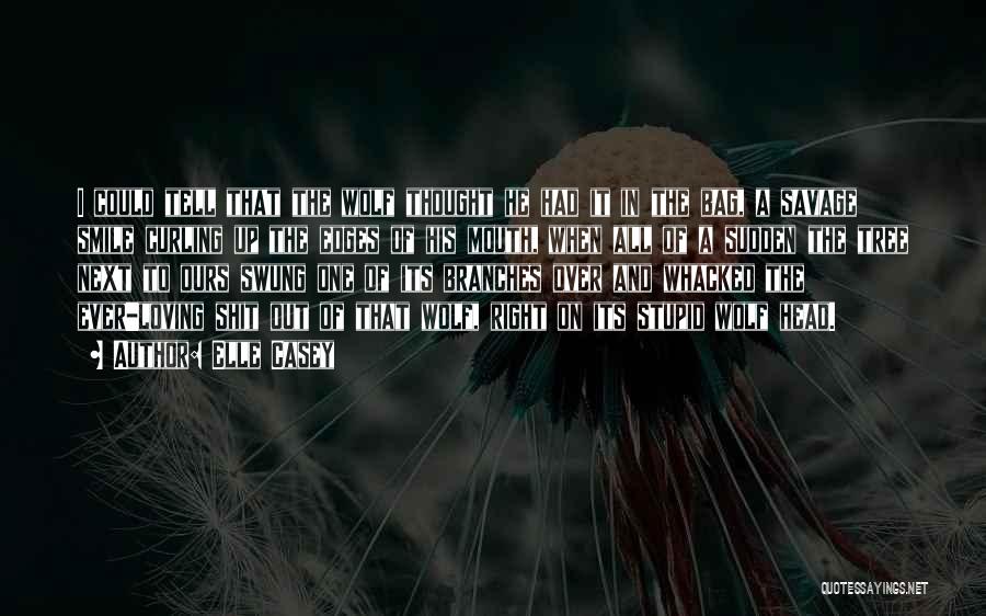 Elle Casey Quotes: I Could Tell That The Wolf Thought He Had It In The Bag, A Savage Smile Curling Up The Edges