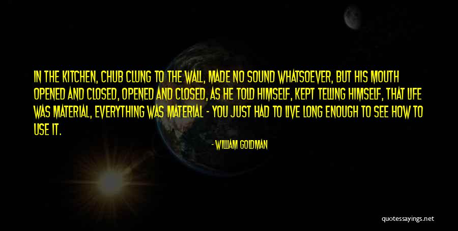 81a 10000a Vintage Ford Generator Quotes By William Goldman 81a 10000a Vintage Ford Generator Quotes By William Goldman