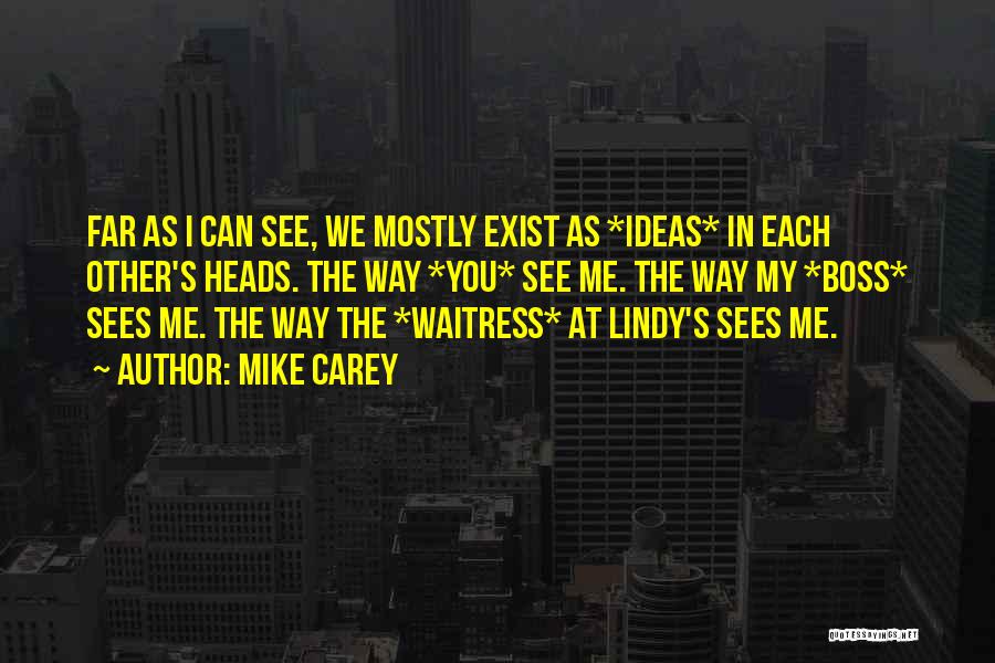 Mike Carey Quotes: Far As I Can See, We Mostly Exist As *ideas* In Each Other's Heads. The Way *you* See Me. The