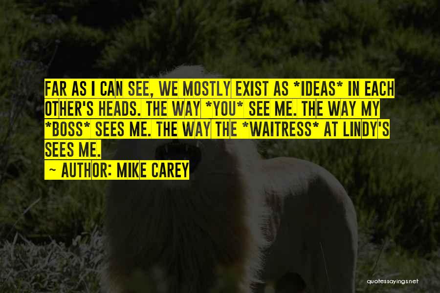 Mike Carey Quotes: Far As I Can See, We Mostly Exist As *ideas* In Each Other's Heads. The Way *you* See Me. The
