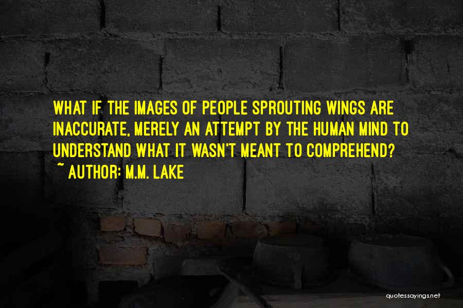 M.M. Lake Quotes: What If The Images Of People Sprouting Wings Are Inaccurate, Merely An Attempt By The Human Mind To Understand What