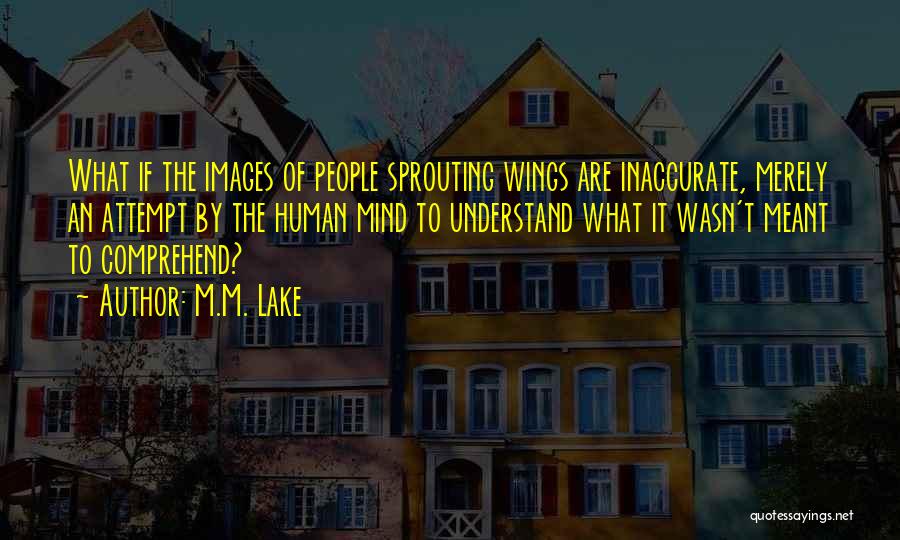 M.M. Lake Quotes: What If The Images Of People Sprouting Wings Are Inaccurate, Merely An Attempt By The Human Mind To Understand What