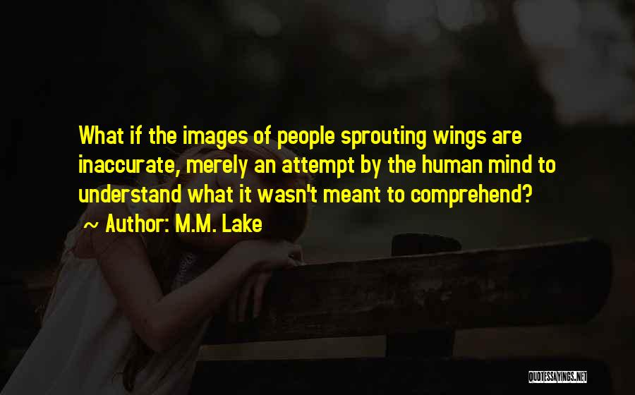 M.M. Lake Quotes: What If The Images Of People Sprouting Wings Are Inaccurate, Merely An Attempt By The Human Mind To Understand What