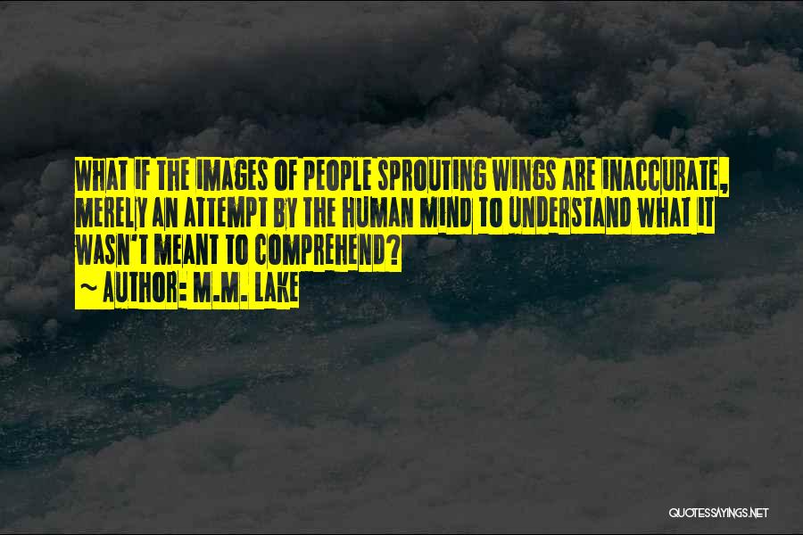 M.M. Lake Quotes: What If The Images Of People Sprouting Wings Are Inaccurate, Merely An Attempt By The Human Mind To Understand What