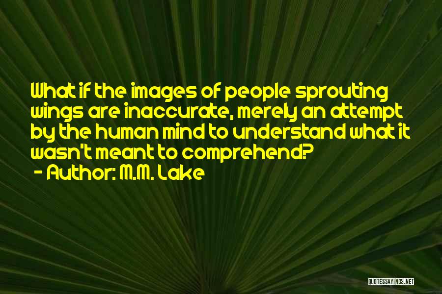 M.M. Lake Quotes: What If The Images Of People Sprouting Wings Are Inaccurate, Merely An Attempt By The Human Mind To Understand What