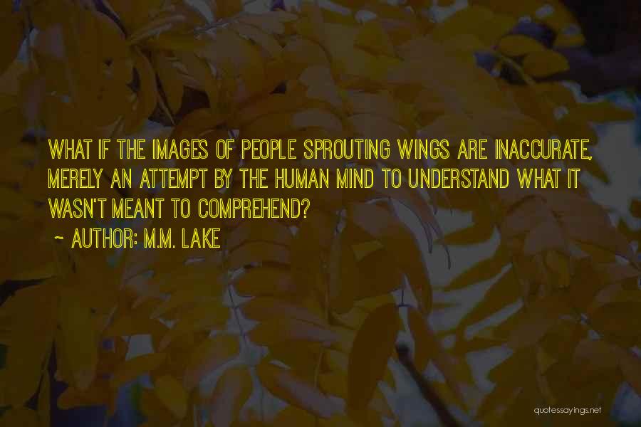 M.M. Lake Quotes: What If The Images Of People Sprouting Wings Are Inaccurate, Merely An Attempt By The Human Mind To Understand What