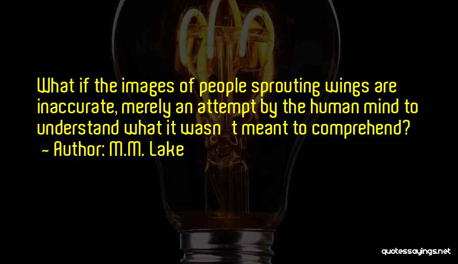 M.M. Lake Quotes: What If The Images Of People Sprouting Wings Are Inaccurate, Merely An Attempt By The Human Mind To Understand What