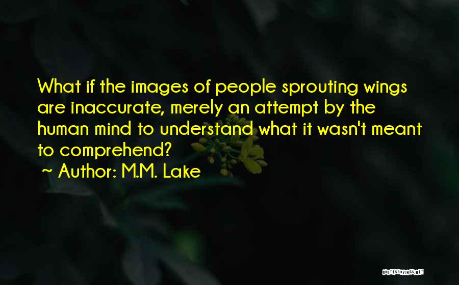 M.M. Lake Quotes: What If The Images Of People Sprouting Wings Are Inaccurate, Merely An Attempt By The Human Mind To Understand What