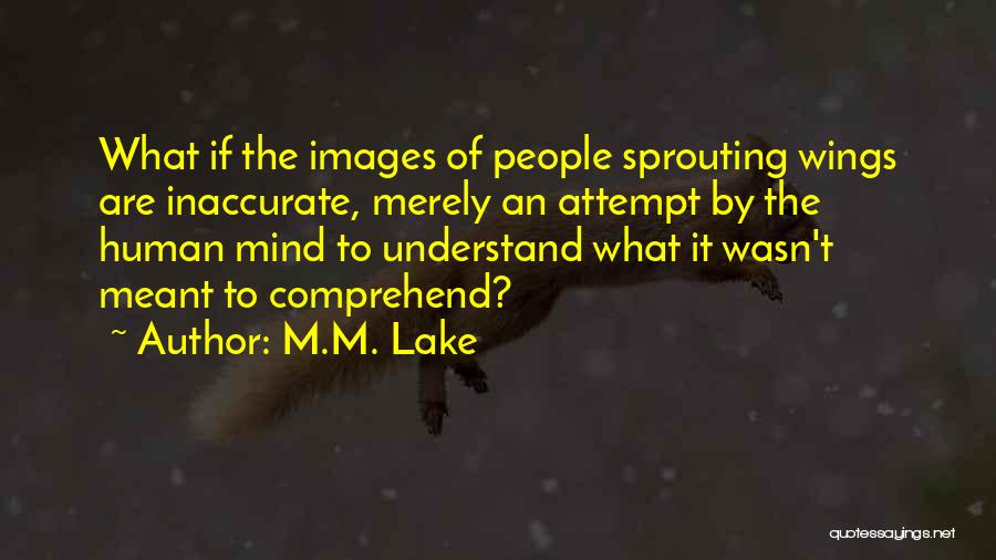 M.M. Lake Quotes: What If The Images Of People Sprouting Wings Are Inaccurate, Merely An Attempt By The Human Mind To Understand What