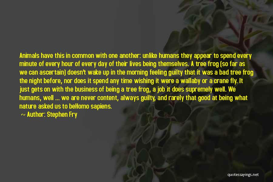 Stephen Fry Quotes: Animals Have This In Common With One Another: Unlike Humans They Appear To Spend Every Minute Of Every Hour Of